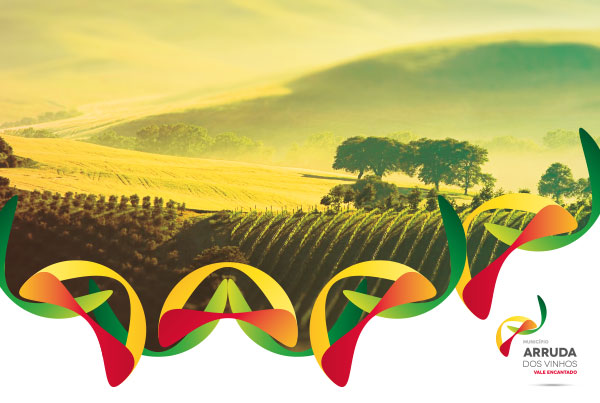 Identidade <b>Arruda dos Vinhos</b>